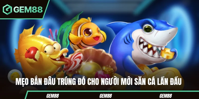 Những mẹo bắn cá H5 cần hiểu đúng