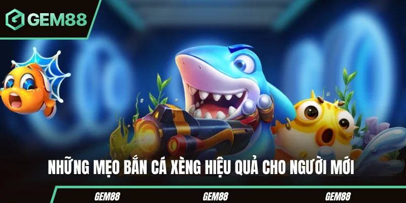 Những lưu ý khi áp dụng mẹo bắn cá xèng
