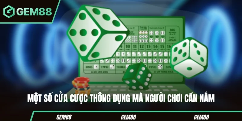 Các cửa cược phổ biến trong Sicbo