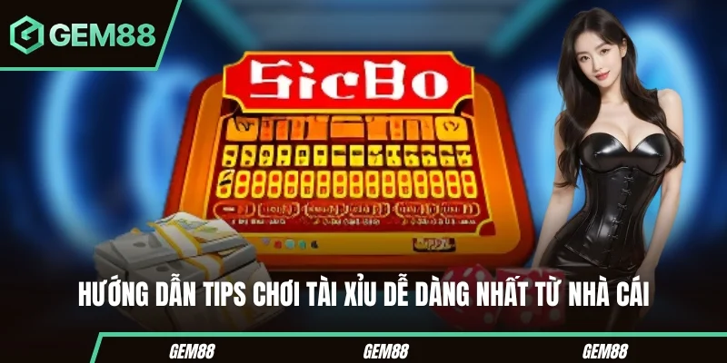 Hướng dẫn cách chơi tài xỉu cho người mới
