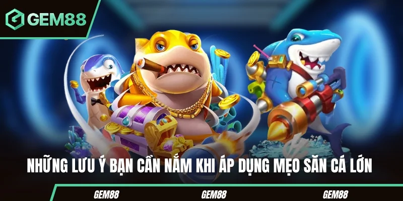 Những lưu ý khi áp dụng mẹo bắn cá lớn