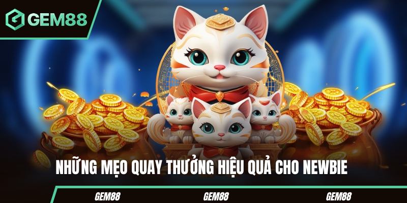 Những lưu ý khi trải nghiệm slot mèo thần tài